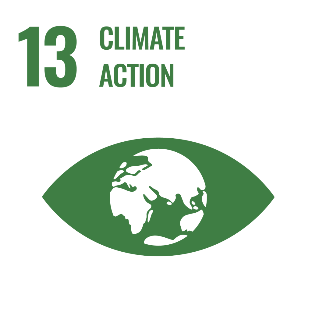 13-climate-action
